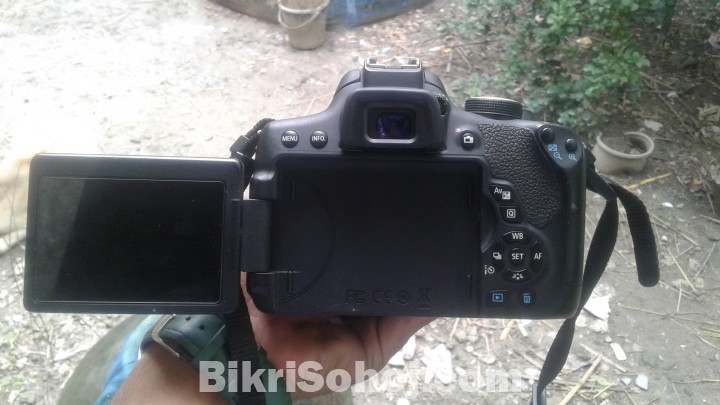 Canon 750 D + Zoom lens  75-300